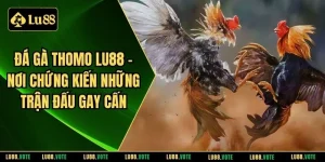 Đá gà Thomo